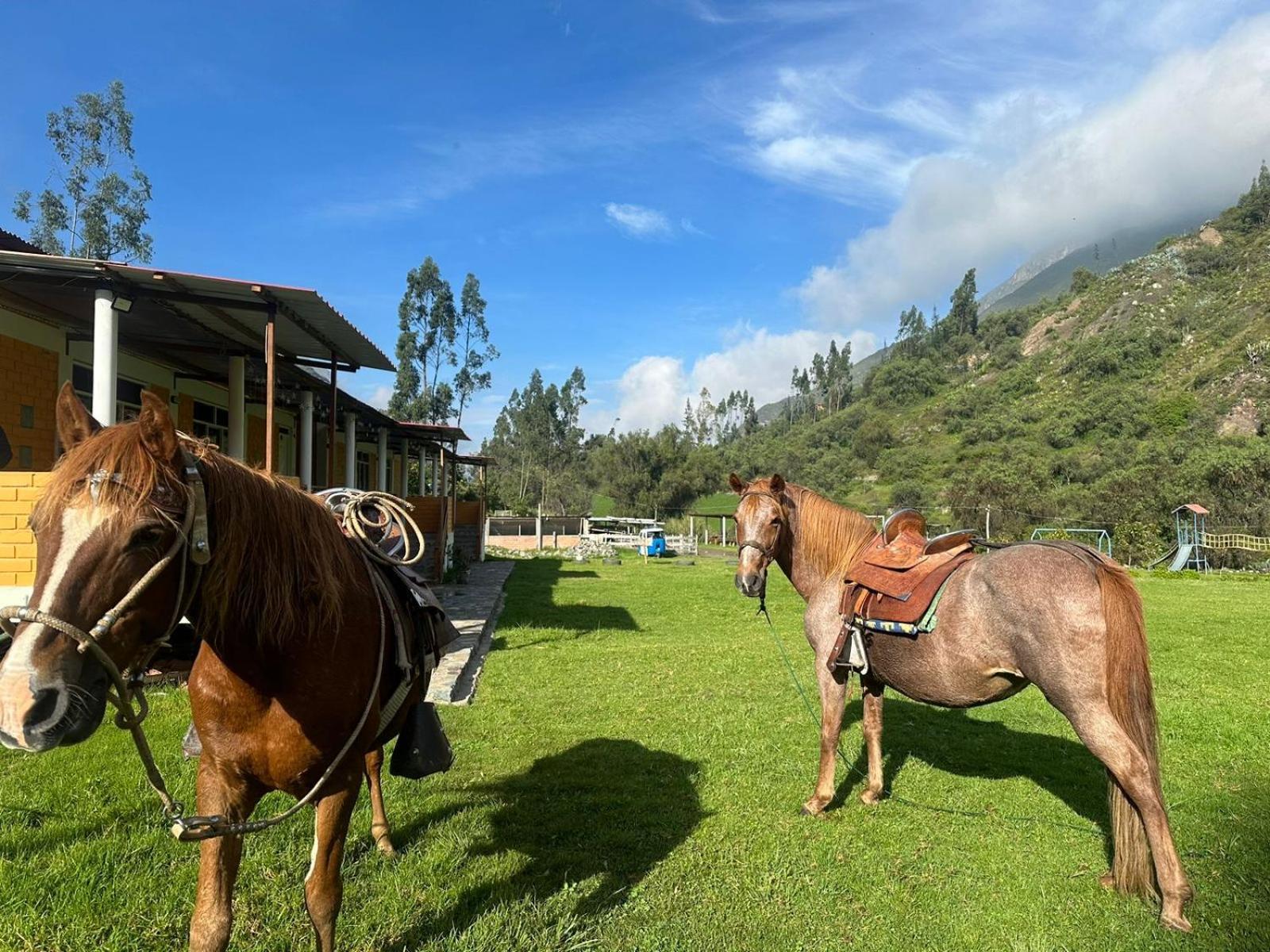 Tambo Lodge Canta Eksteriør billede